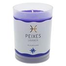 Vela Signo Peixes Perfumada Peixes Lavanda 90g
