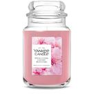 Vela Yankee Candle Enchanted Cherry Blossoms 624ml