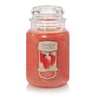 Vela Yankee Candle White Strawberry Bellini 623 g 110 h