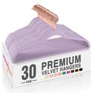 Velvet Hangers HOUSE DAY, pacote com 30 feltro roxo antiderrapante