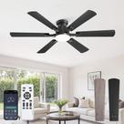 Ventilador de Teto Fanbulous 132 cm 6 Pás LED com Controle Remoto e App