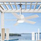 Ventilador de Teto Fanbulous 42" para Área Externa IP65 à Prova d'Água com Luz