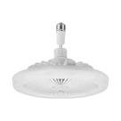 Ventilador De Teto LED Com Controle Remoto E27 24W 30W 40W 80W Para Iluminação Interna Da Sala De