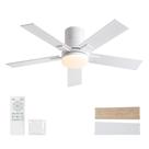 Ventilador de teto Rayqueen 42" 5 pás LED 3CCT Remote DC Motor DC Ventilador de teto Rayqueen 42" 5 pás LED 3CCT Remote DC Motor DC