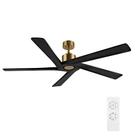 Ventilador de teto WINGBO 54" Solid Wood Blades 6 Velocidades DC