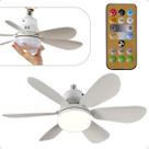 Ventilador Lâmpada De Teto Silencioso 52 cm Super Led Bivolt 6 Pás Linha Premium