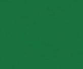 Verde Bandeira - Tricoline 100% Alg. lisa