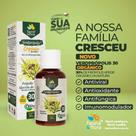 Verdprópolis Orgânico Solução Alcoólica 30% - 30ml - Fauna&Flora Verdprópolis Orgânico Solução Alcoólica 30% - 30ml - Fauna&Flora