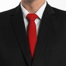 Vermelho oxford - gravata para congresso e casamentos