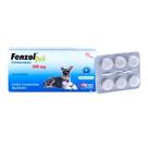 Vermífugo Fenzol Pet 500 mg 6 comprimidos
