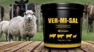 Vermisal 1.11kg Champion