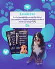 Vermitril 8 Comprimidos para Cães de 40 a 60 kg, Eficaz e Palatável