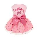 Vestido de cachorro Fitwarm Birthday Girl Tule rosa para cães XXS