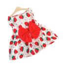 Vestido De Princesa Fofo Para Cães De Pequeno E Médio Porte, Chihuahua, Poodle, Saia De Renda Com
