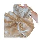 Vestido De Princesa Para Bebês Meninas, Recém-nascidas, Primeiro Ano De Vida, Casamento, Festa De