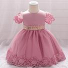Vestido feminino com renda cor rosa infantil festa -Tamanho M 2 anos Vestido feminino com renda cor rosa infantil festa -Tamanho M 2 anos