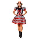 Vestido Junino Caipira Xadrez Rodado com Babados Fantasia Adulto Festa Junina São João Quadrilha Quermesse Arraiá