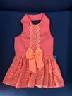 Vestido luxo para pets