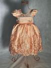 Vestido Menina Infantil Luxo Lilivia Renda Salmão