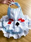 Vestido Pet - Alice No País Das Maravilhas Cachorro Ou Gato