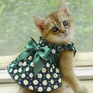 Vestido Sem Mangas Para Gatos E Cães Com Estampa De Flor Ciano, Estilo Slim, Roupas De Verão, Saia Vestido Sem Mangas Para Gatos E Cães Com Estampa De Flor Ciano, Estilo Slim, Roupas De Verão, Saia