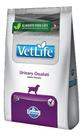 Vet Life Ração Para Cães Urinary Ossalati 2kg