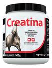 Vetnil Creatina 500 G Suplemento Vetnil Creatina 500 G Suplemento