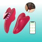 Vibrador de calcinha Lovely por aplicativo