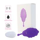 Vibrador de Calcinha Wearable - 3 em 1 com Controle Remoto