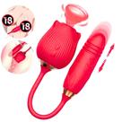 Vibrador Duplo Vai e Vem Sugador Clitoriano Rosa Pulsação Recarregável Estimulador Clitóris Feminino SexShop