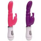 Vibrador Feminino Duplo Massageador de Clitóris 10 Níveis Vibração Vibrador Feminino Duplo Massageador de Clitóris 10 Níveis Vibração