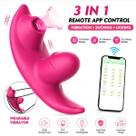 Vibrador Feminino e Sugador de Clitóris 9 Velocidades New Sandy Vibrador Com App Super potente