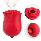 Vibrador Feminino Estimulador Para Ponto G e Clitóris 10 Modos de Vibrações USB