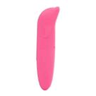 Vibrador Feminino Golfinho Ponto G Estimulador Discreto Sex