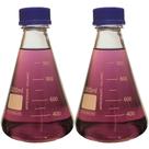 Vidro de borossilicato Erlenmeyer Flask Karter Scientific 1000mL