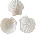 Vieira natural Sea Shells SEAJIAYI, 6-8 cm, branca, 30 unidades