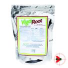Vigaroot Fert Enraizador Mudas Gramados Flores Rgtec 2x500g