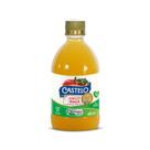 Vinagre De Maçã Castelo 100% Orgânico 400ml Acidez 4%