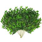 Vinhas artificiais de guirlanda de folhas verdes CEWOR Italian Ruscus x24