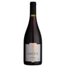 Vinho amitié pinot noir tinto 750ml