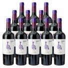 Vinho Argentino Chac Chac Malbec 750ml 12 Unidades