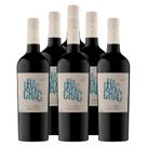Vinho Argentino Chac Chac Reserva Tannat 750ml 6 Unidades