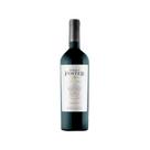 Vinho argentino enrique foster ed limitada malbec tinto 750ml