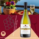 Vinho Branco Chardonnay Fino Seco Peruzzo