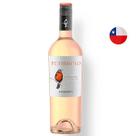 Vinho Branco Chileno Bisquertt Petirrojo Reserva Sauvignon Blanc