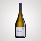 Vinho Branco Costeiro Sauvignon Blanc 750Ml