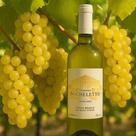 Vinho Branco Micheletto Niágara Garrafa 750 Ml
