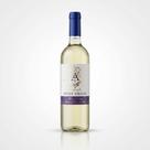 Vinho Branco Seco Arcaia Terre Siciliane Pinot Grigio Branco 750ml Sicília Garrafa Vinho Branco Seco Arcaia Terre Siciliane Pinot Grigio Branco 750ml Sicília Garrafa