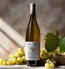 Vinho Branco Seco - Michael Scott Carter