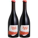 Vinho Brasileiro Tinto Pinot Noir Seco Otto 750ml Kit 2un